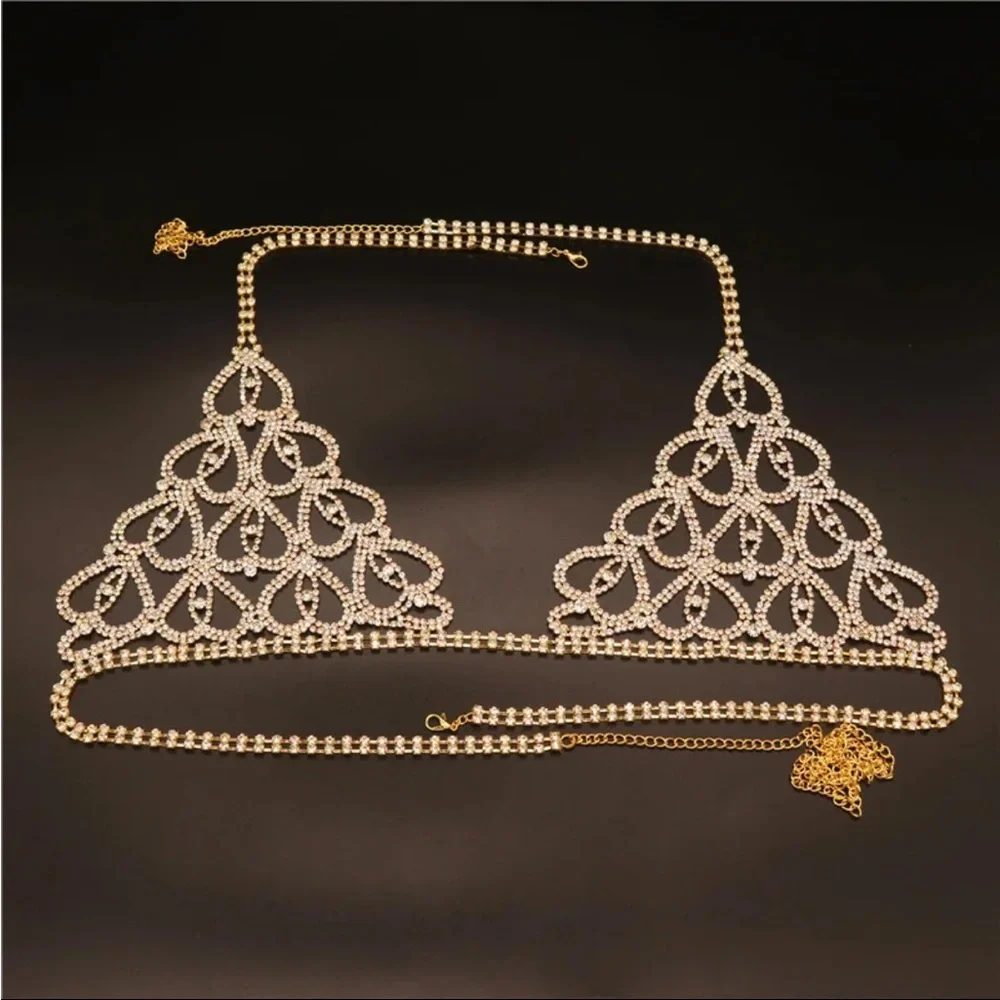 (Last 1) Boho Rhinestone body bra and thong body jewelry - Picture 7 of 10